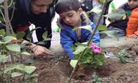  کاشت نهال در واحدهای تابعه مرکز بهداشت شهرستان رشت